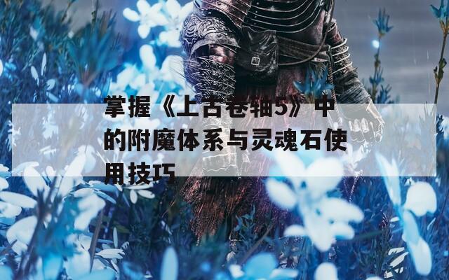 掌握《上古卷轴5》中的附魔体系与灵魂石使用技巧
