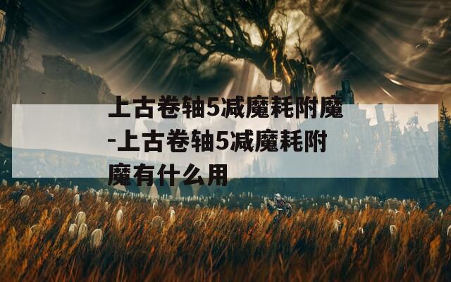 上古卷轴5减魔耗附魔-上古卷轴5减魔耗附魔有什么用
