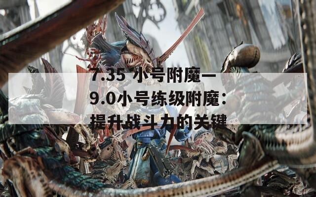 7.35 小号附魔—9.0小号练级附魔：提升战斗力的关键