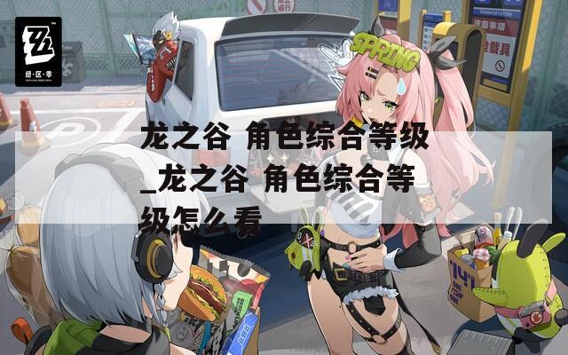 龙之谷 角色综合等级_龙之谷 角色综合等级怎么看