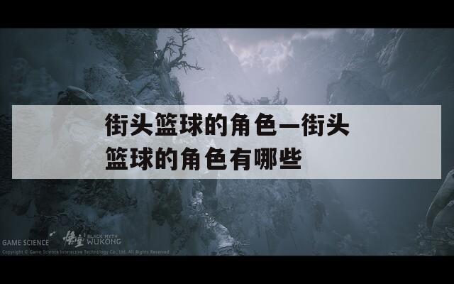 街头篮球的角色—街头篮球的角色有哪些