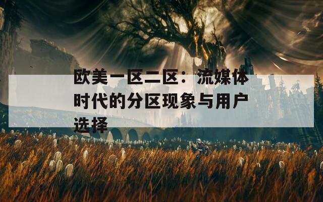 欧美一区二区：流媒体时代的分区现象与用户选择