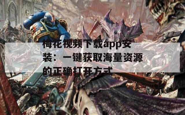 梅花视频下载app安装：一键获取海量资源的正确打开方式