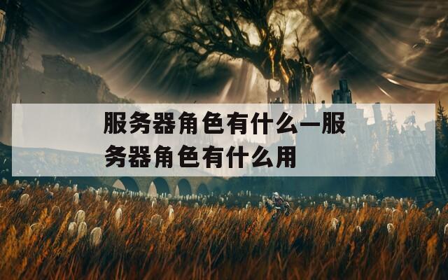 服务器角色有什么—服务器角色有什么用
