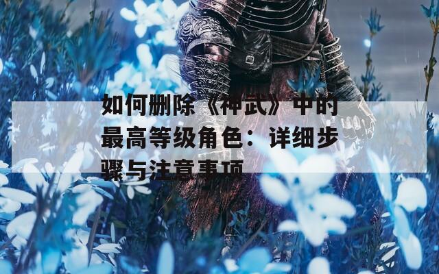 如何删除《神武》中的最高等级角色：详细步骤与注意事项