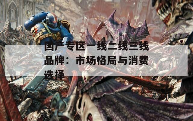 国产专区一线二线三线品牌：市场格局与消费选择