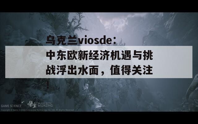 乌克兰viosde：中东欧新经济机遇与挑战浮出水面，值得关注！