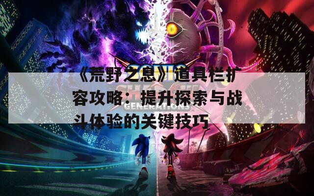 《荒野之息》道具栏扩容攻略：提升探索与战斗体验的关键技巧