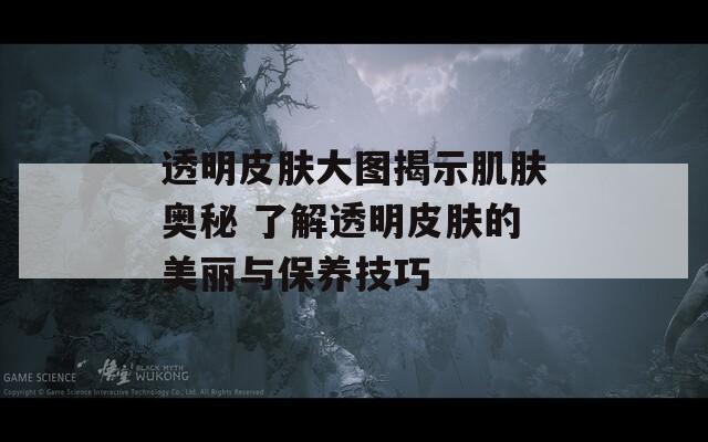 透明皮肤大图揭示肌肤奥秘 了解透明皮肤的美丽与保养技巧
