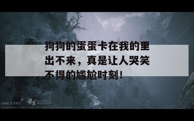 狗狗的蛋蛋卡在我的里出不来，真是让人哭笑不得的尴尬时刻！