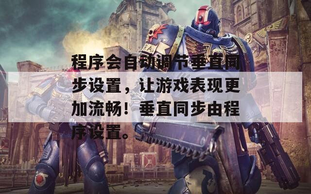 程序会自动调节垂直同步设置，让游戏表现更加流畅！垂直同步由程序设置。