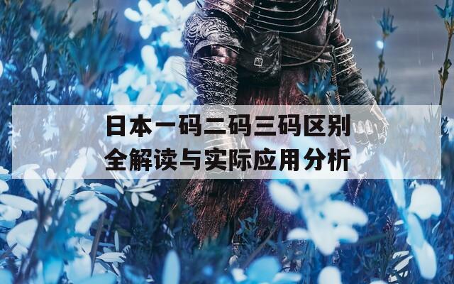 日本一码二码三码区别全解读与实际应用分析