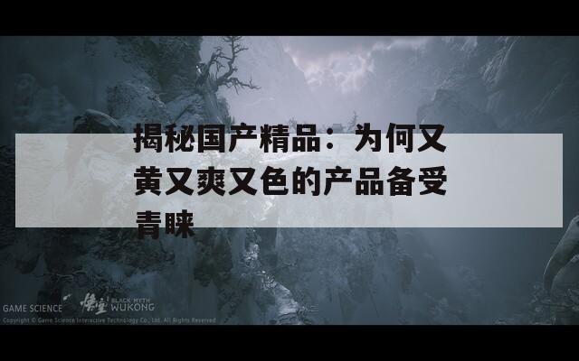 揭秘国产精品：为何又黄又爽又色的产品备受青睐