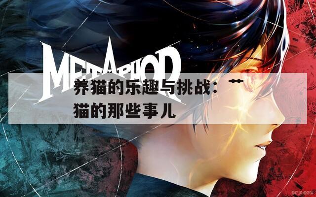 养猫的乐趣与挑战：艹猫的那些事儿