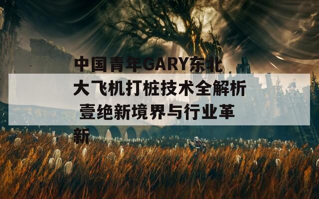 中国青年GARY东北大飞机打桩技术全解析 壹绝新境界与行业革新