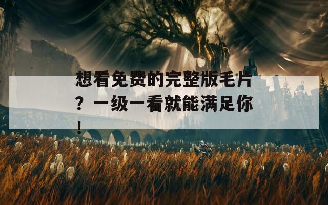 想看免费的完整版毛片？一级一看就能满足你！