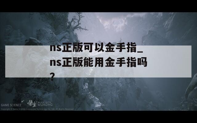 ns正版可以金手指_ns正版能用金手指吗？