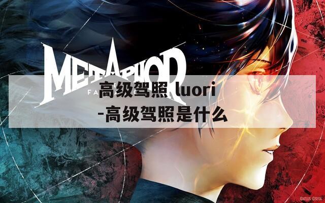 高级驾照 luori-高级驾照是什么