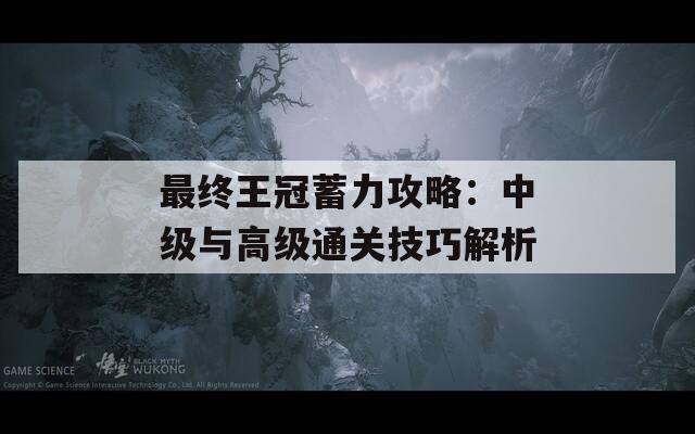 最终王冠蓄力攻略：中级与高级通关技巧解析