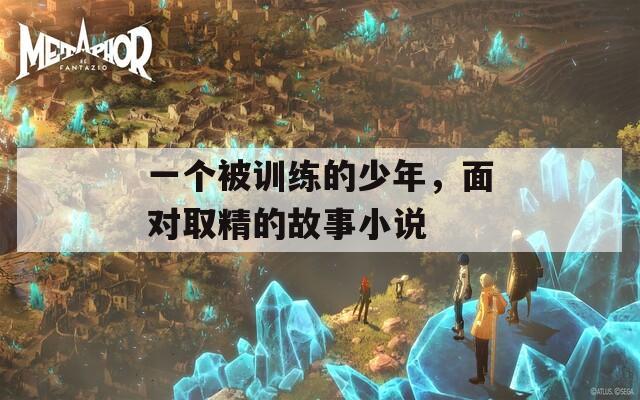 一个被训练的少年，面对取精的故事小说