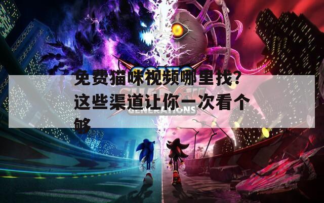 免费猫咪视频哪里找？这些渠道让你一次看个够