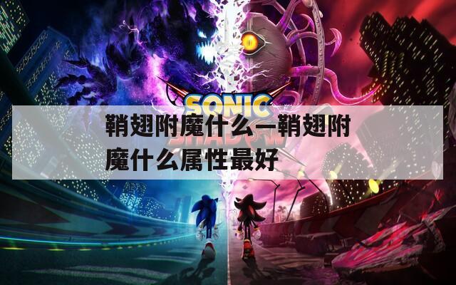 鞘翅附魔什么—鞘翅附魔什么属性最好