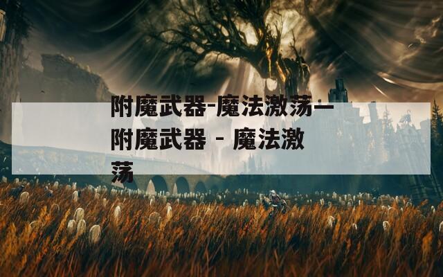 附魔武器-魔法激荡—附魔武器 - 魔法激荡