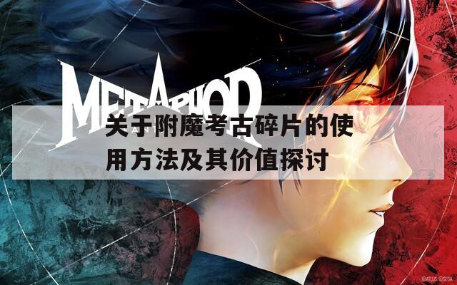 关于附魔考古碎片的使用方法及其价值探讨