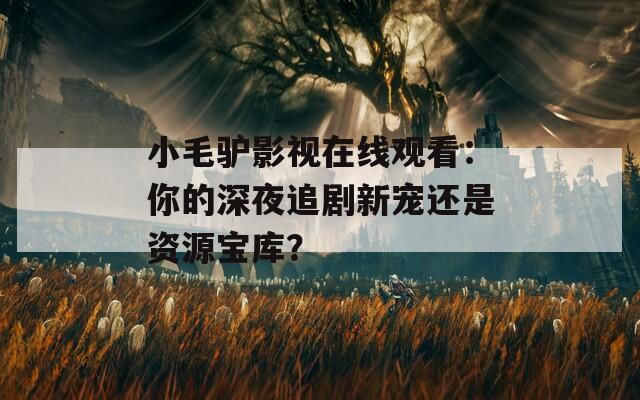 小毛驴影视在线观看：你的深夜追剧新宠还是资源宝库？