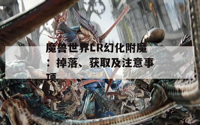 魔兽世界LR幻化附魔：掉落、获取及注意事项