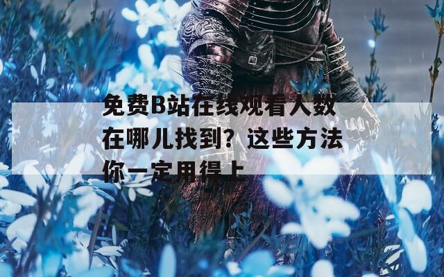 免费B站在线观看人数在哪儿找到？这些方法你一定用得上